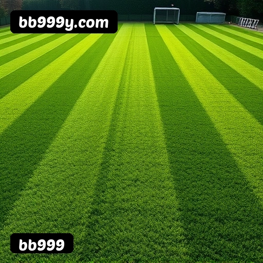 Jogo responsável bb999 - Ferramentas de controle, limites, auto-exclusão, suporte CVV 188